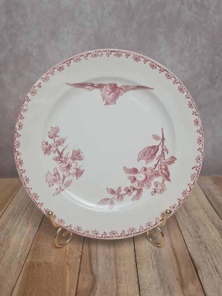 Assiette à dessert Sarreguemines modèle Favori décor oiseaux 🌿 terre de fer