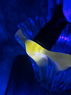 🏺 Vase en cristal attribué à Pierre d’avesn