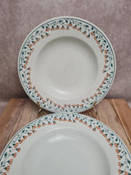 Lot de 2 assiettes creuses Kg Lunéville modèle Moselle 🌿🍂 terre de fer