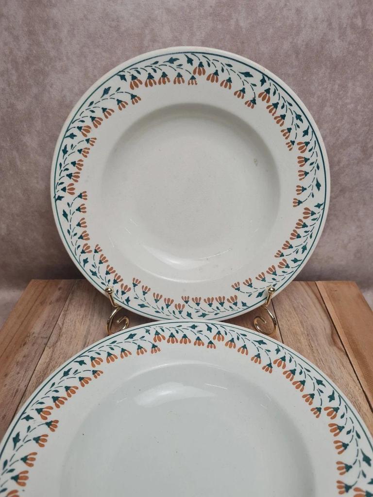 Lot de 2 assiettes creuses Kg Lunéville modèle Moselle 🌿🍂 terre de fer