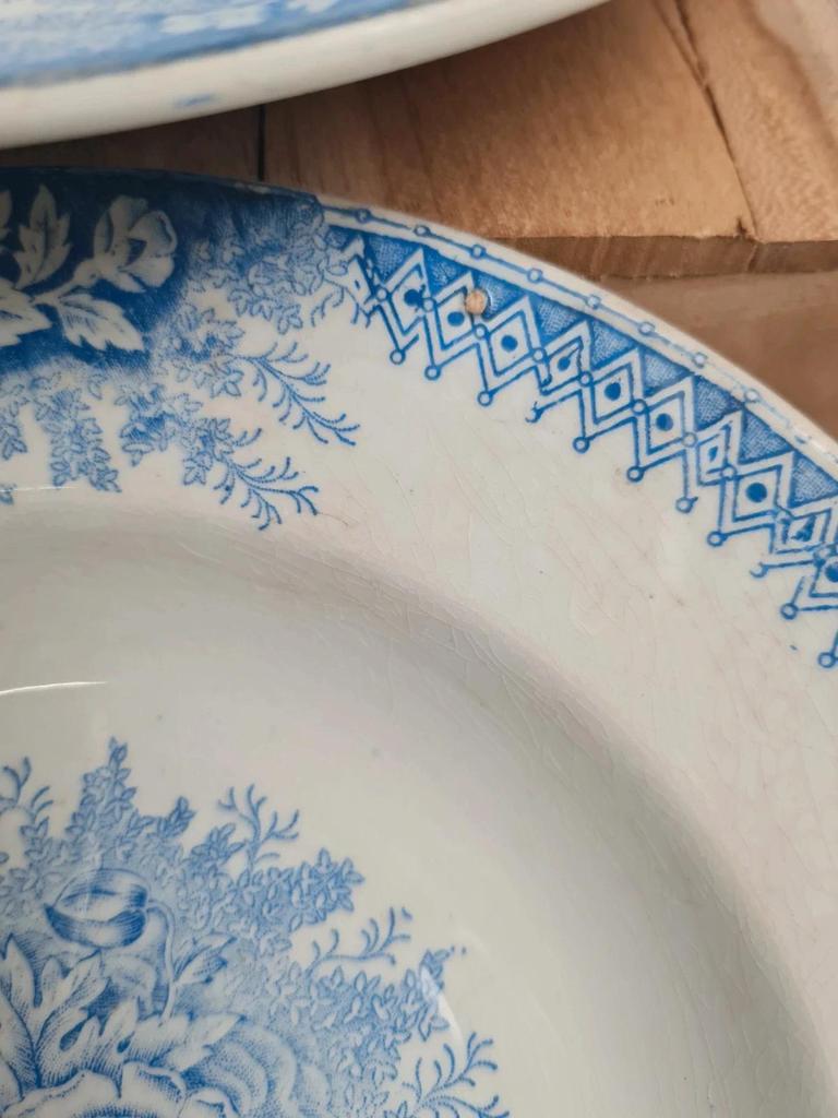 Lot de 9 assiettes creuses anciennes Saint-amand & Hamage modèle Jardinière 🌿