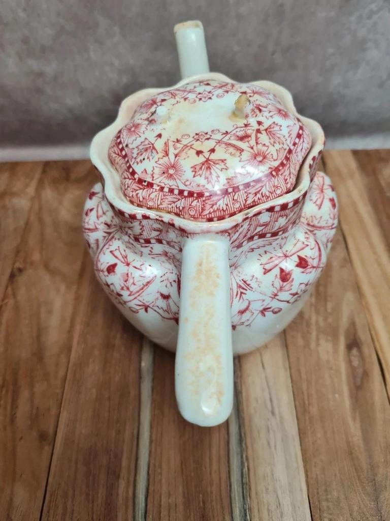 Théière anglaise Wileman Foley Shelley Rn148962 Dolly Varden décor rouge