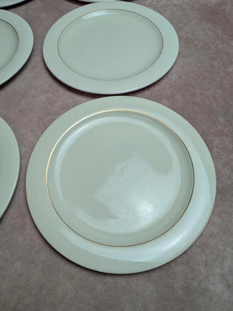 Lot de 6 assiettes plates Opaceline Salins vintage