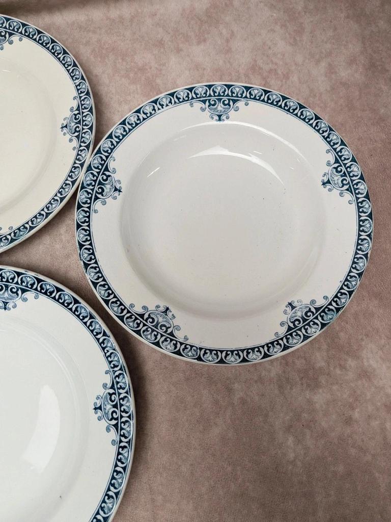 Lot de 9 assiettes creuses Terre de Fer St Amand modèle Andrinople