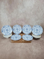Lot de 6 assiettes plates Arcopal Honorine 💙
