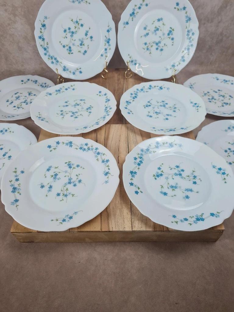 Lot de 10 assiettes vintage Arcopal – Modèle Myosotis