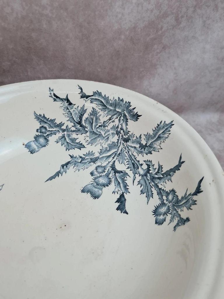 Grand saladier / bassine Longchamp modèle Chardon – décor oiseaux terre de fer 🐦🌿
