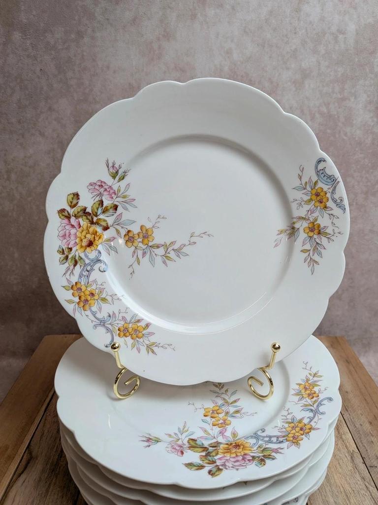 Lot de 7 assiettes plates vintage en porcelaine – Décor floral polychrome
