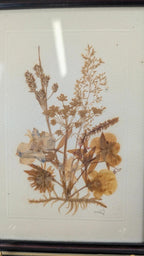 Petit cadre herbier ancien – fleurs séchées naturelles