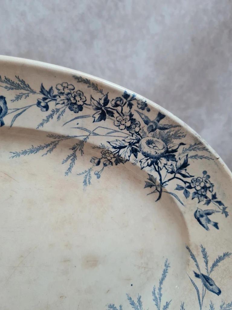 Grand plat ovale Terre de Fer Creil & Montereau Linotte bleu, décor oiseaux ancien