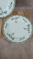 Lot de 2 plats anciens Saint-amand – Terre de fer – Modèle Modern Style