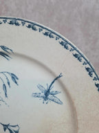 Assiette ancienne Terre de Fer Sarreguemines modèle Carmen Xixe 🌿🦋