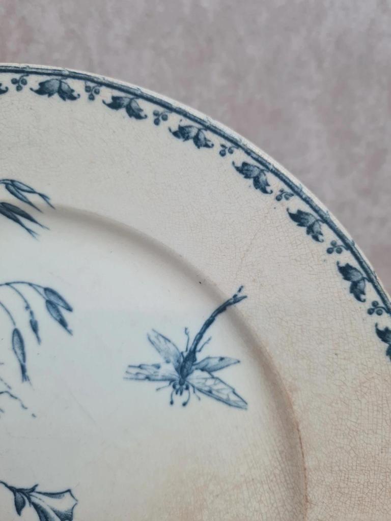 Assiette ancienne Terre de Fer Sarreguemines modèle Carmen Xixe 🌿🦋