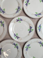 Lot de 9 assiettes anciennes en terre de fer – Opaque de Bordeaux – décor floral peint main