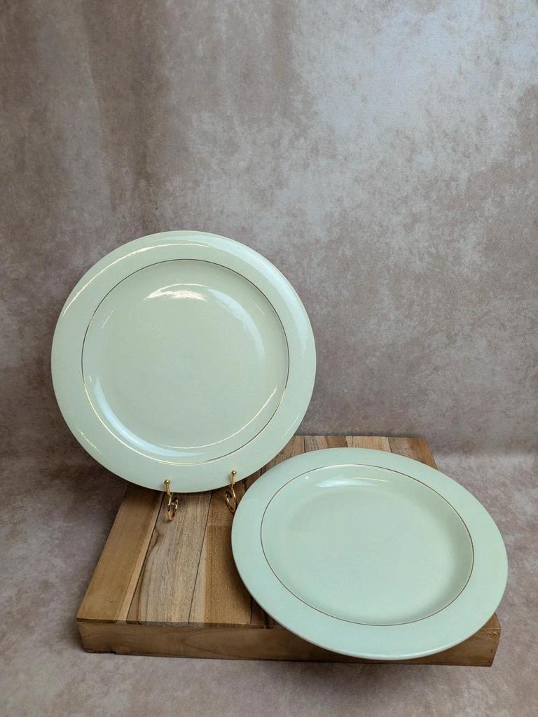 Lot de 2 plats ronds Opaceline Salins liseré doré vintage
