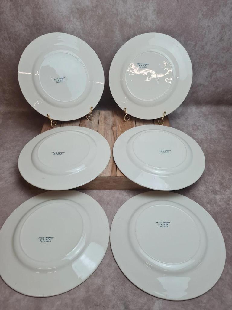Lot de 6 assiettes plates anciennes Salins “petit Trianon” terre de fer bleu 💙