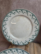 Lot de 6 assiettes plates terre de fer Gien Montigny – décor vert ancien
