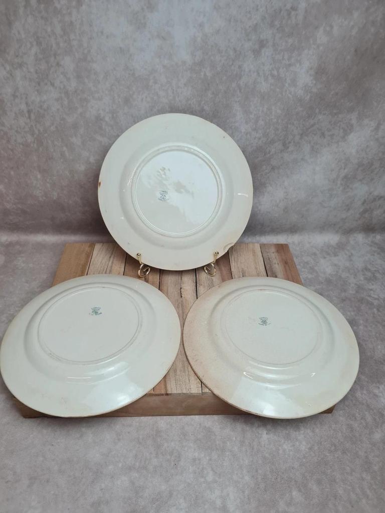 Assiettes Terre de Fer Creil & Montereau Linotte oiseaux vert – lot de 3 anciennes