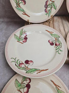 Lot de 6 assiettes plates Boch La Louvière Belgique modèle 2460 décor cerises polychrome