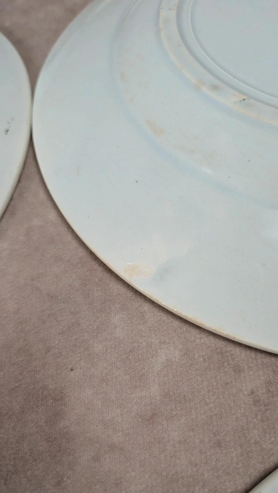 Lot 12 assiettes plates Terre de Fer Saint-amand modèle Modern Style 22 cm