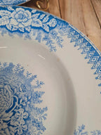 Lot de 9 assiettes creuses anciennes Saint-amand & Hamage modèle Jardinière 🌿