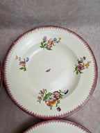 Lot de 6 assiettes creuses Sarreguemines – modèle Strasbourg – décor floral peint à la main