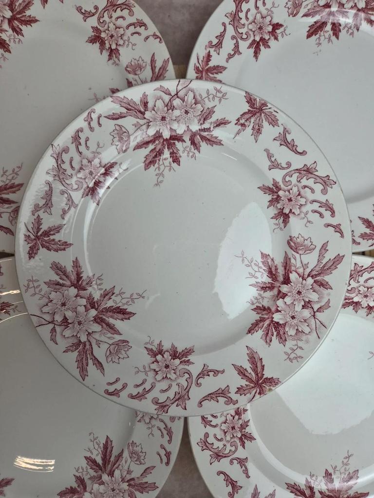 Lot de 6 assiettes plates vintage Amandinoise modèle Anémone 🌸 Terre de fer ancienne décor bordeaux