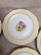 Lot de 10 assiettes à dessert L’amandinoise Coopélia vintage