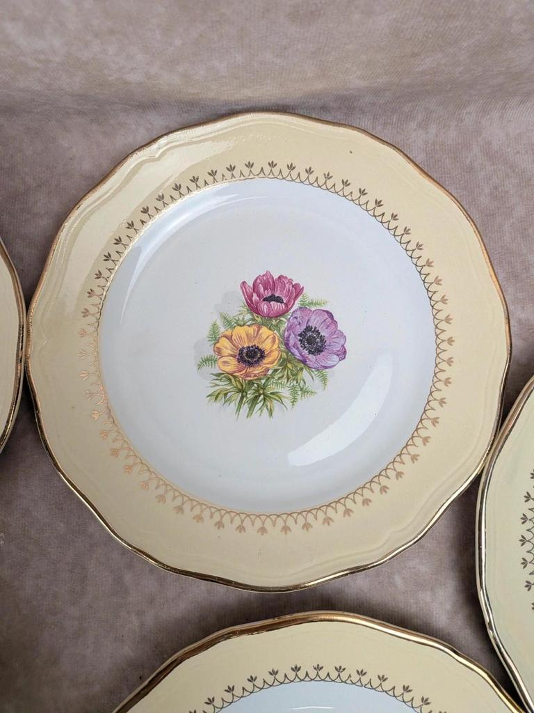 Lot de 10 assiettes à dessert L’amandinoise Coopélia vintage