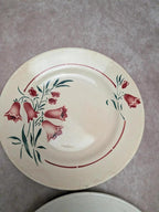 Assiettes plates terre de fer L’amandinoise Peg