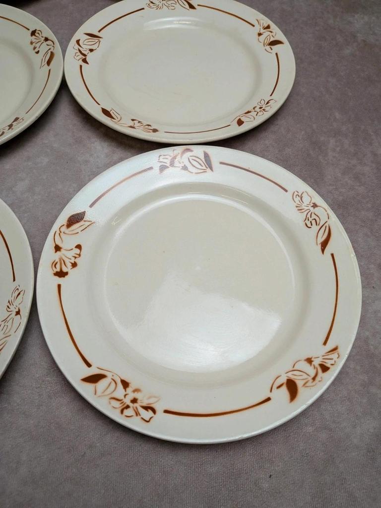 Lot de 6 assiettes terre de fer Hbcm Narcisse décor floral marron