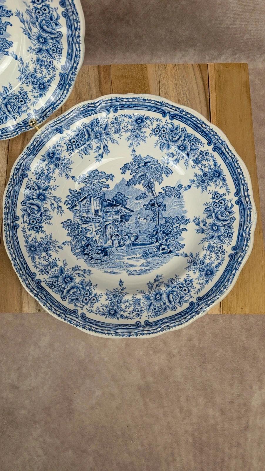 Lot de 2 assiettes creuses Lunéville – modèle The Cottage