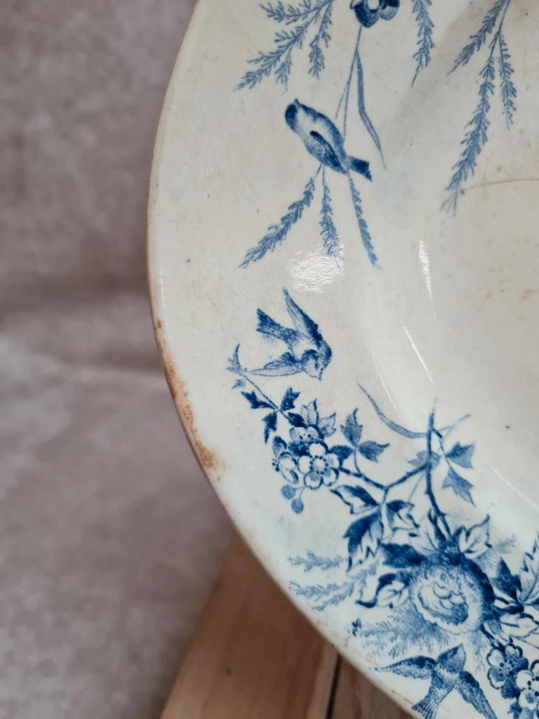 Grand plat ovale Terre de Fer Creil & Montereau Linotte bleu, décor oiseaux ancien