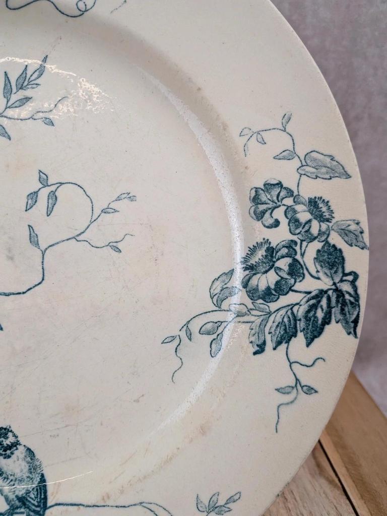 Assiette ancienne Terre de Fer Le Bûcheron Paris – Décor oiseaux bleu