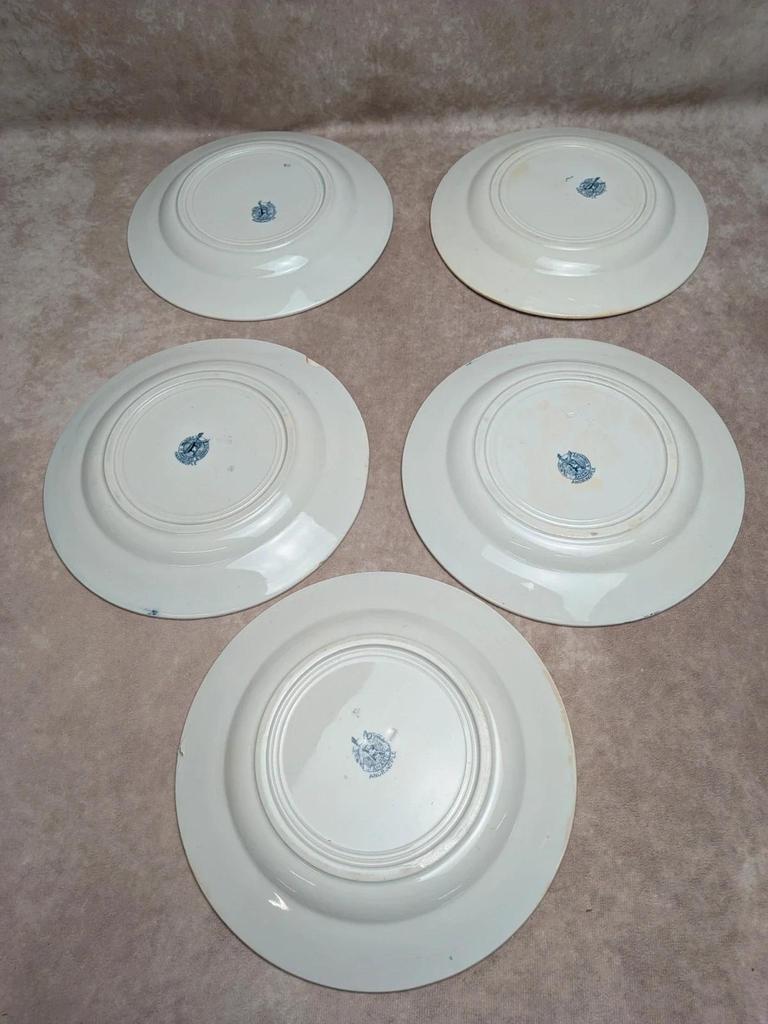 Lot de 5 assiettes plates Terre de Fer St Amand modèle Andrinople