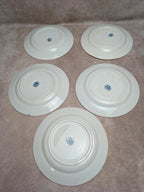 Lot de 5 assiettes plates Terre de Fer St Amand modèle Andrinople