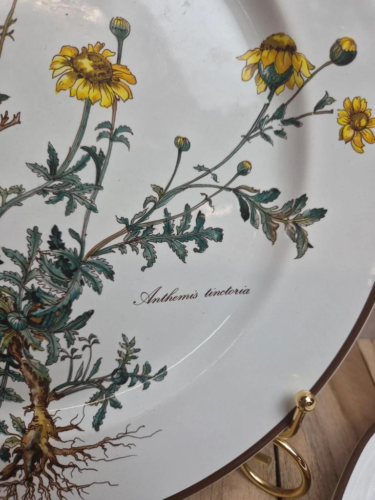 Lot 2 plats Villeroy & Boch Botanica – vitro-porcelaine – Luxembourg