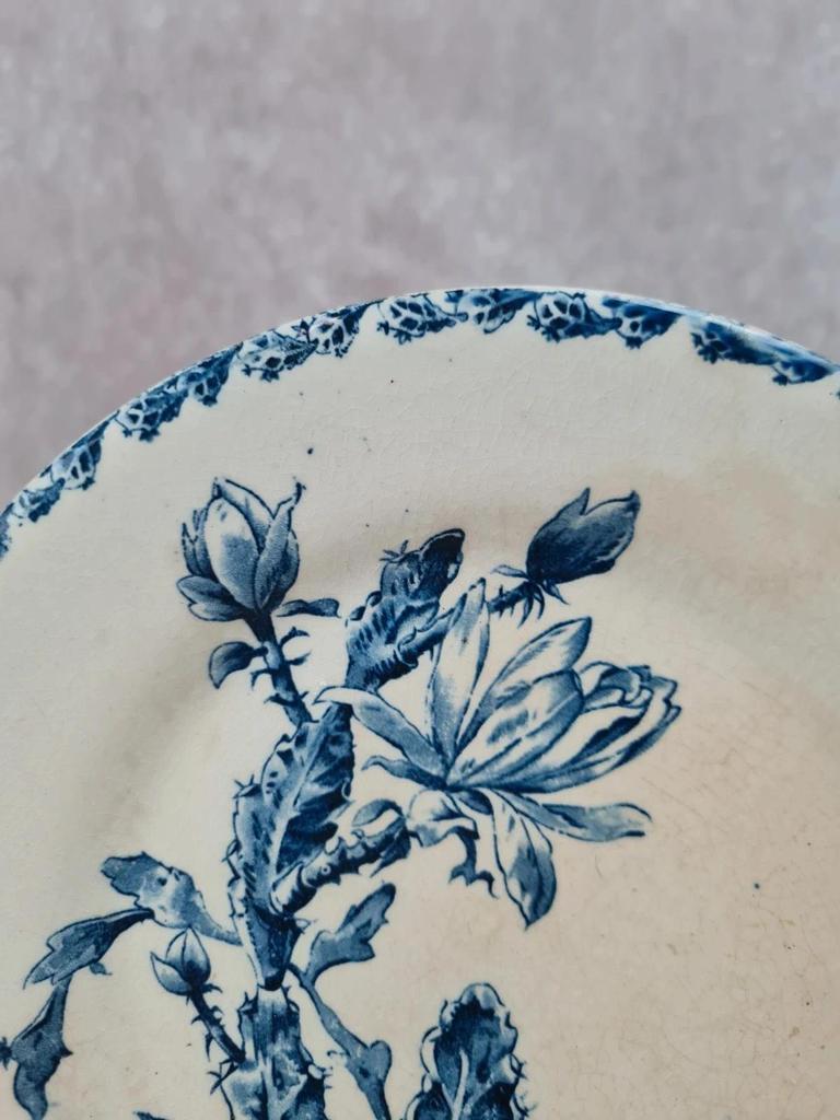 Assiette ancienne Gien, modèle Cactus 💙