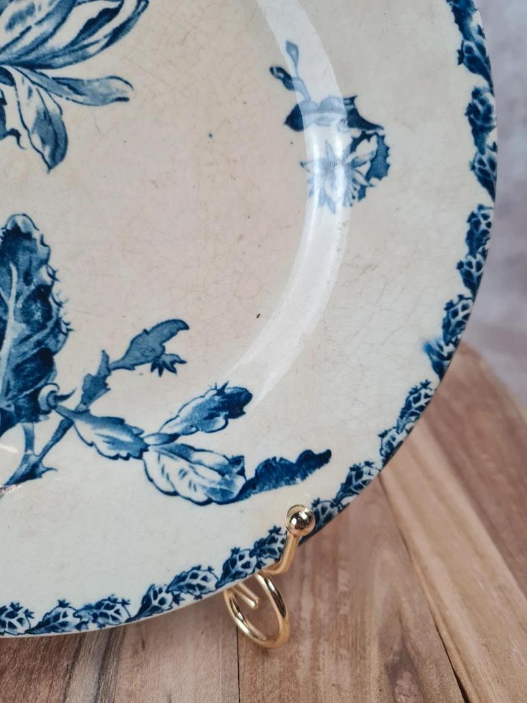 Assiette ancienne Gien, modèle Cactus 💙