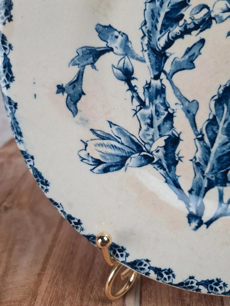 Assiette ancienne Gien, modèle Cactus 💙