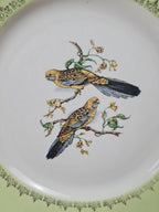 Assiette ancienne Kg Lunéville Badonvillers décor oiseaux