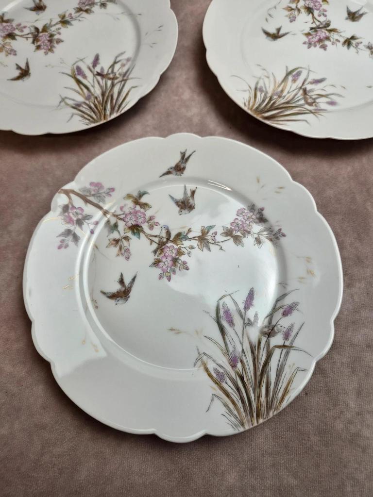 Lot de 7 assiettes anciennes en porcelaine – Décor oiseaux et fleurs polychromes