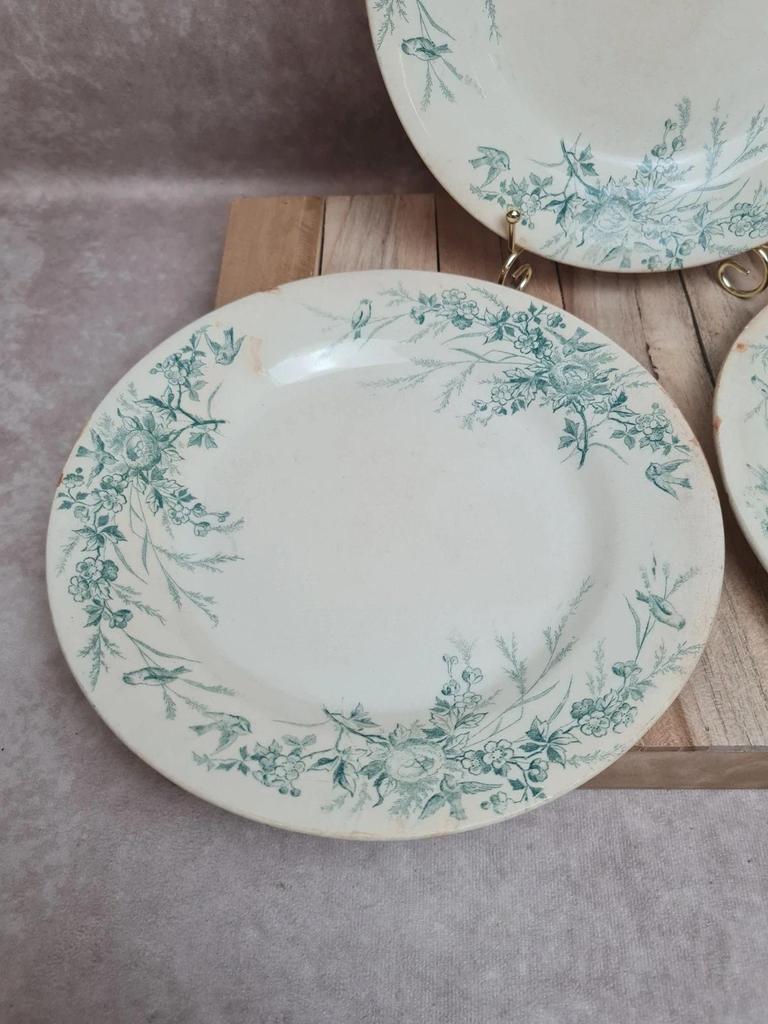 Assiettes Terre de Fer Creil & Montereau Linotte oiseaux vert – lot de 3 anciennes