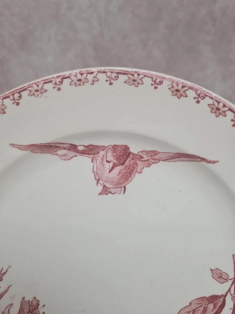 Assiette à dessert Sarreguemines modèle Favori décor oiseaux 🌿 terre de fer