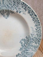 Assiette creuse ancienne en terre de fer Saint-amand modèle Colombier