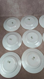 Lot 12 assiettes plates Terre de Fer Saint-amand modèle Modern Style 22 cm
