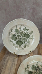 Lot de 2 assiettes Gien – Modèle Capucines – Faïence ancienne