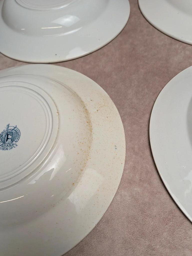 Lot de 6 assiettes creuses Terre de Fer St Amand modèle Andrinople
