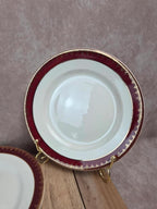 Lot de 12 assiettes à dessert Digoin Sarreguemines “rubis”