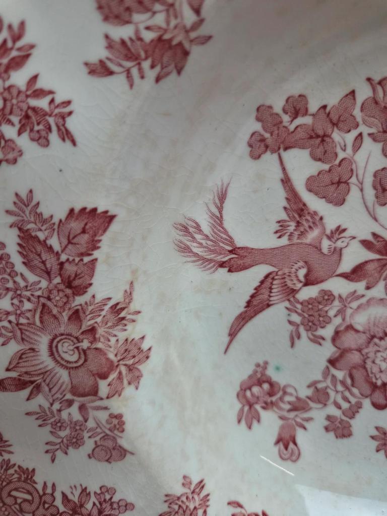 Lot de 4 assiettes creuses Enoch Wedgwood – Asiatic Pheasants – Faïence anglaise vintage